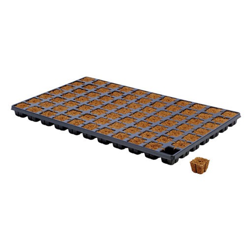 Eazy Plug 77 Stecklings-Tray kaufen im Grow Shop Schweiz
