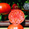 Samen Tomaten Babuschka kaufen bio online