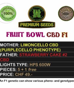 Hug Cannabis Fruit Bowl CBD Samen kaufen online