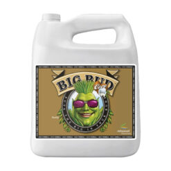 Advanced Nutrients Big Bud Coco Blütenstimulator 20L kaufen im schweizer growshop