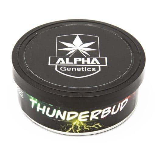 Alpha Genetics Thunderbud Seeds 5pcs kaufen online