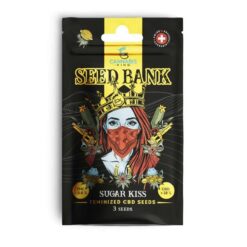 Cannabis King Sugar Kiss CBD Samen 3 Stk. kaufen im schweizer grow shop
