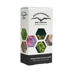 Dutch Passion Autoflowering CBD Victory CBD Samen 3 Stk. kaufen im schweizer grow shop